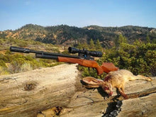 Load image into Gallery viewer, Daystate Huntsman Revere .22 40ft/lbs